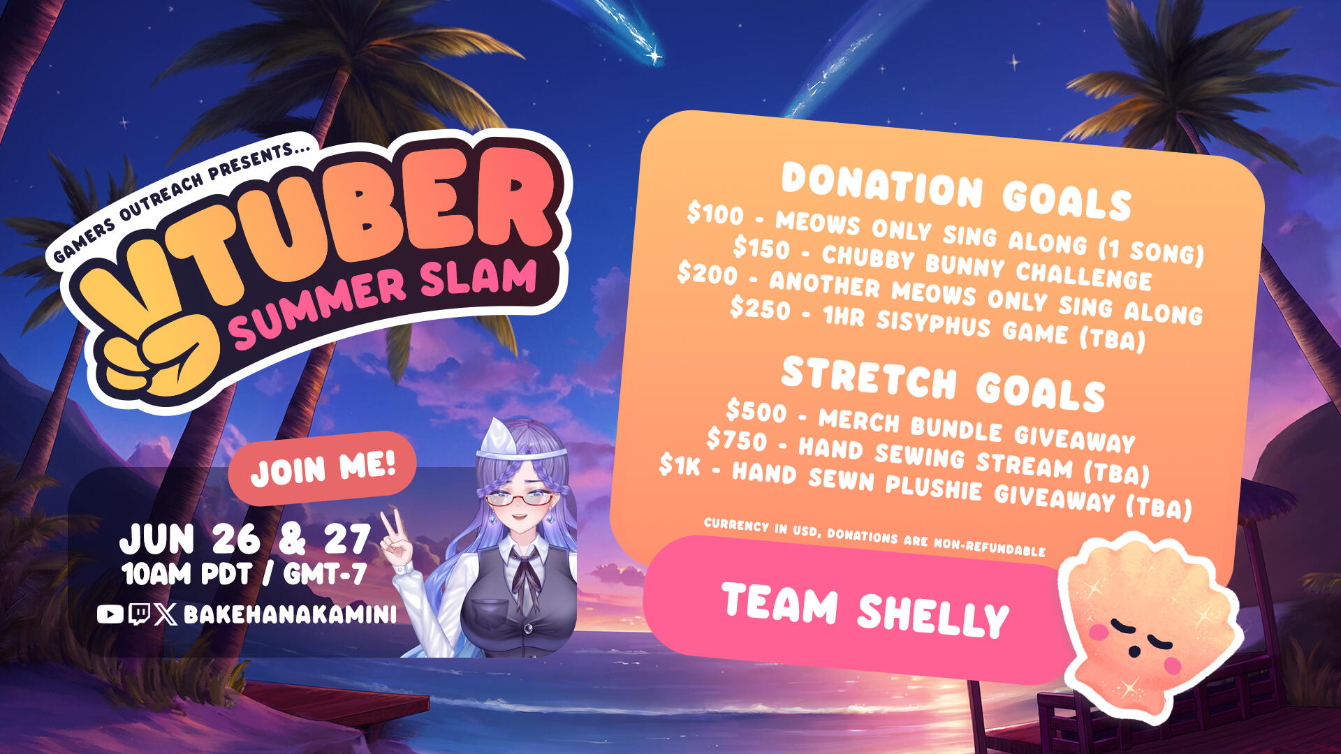 VTSS2024 Donation Goals